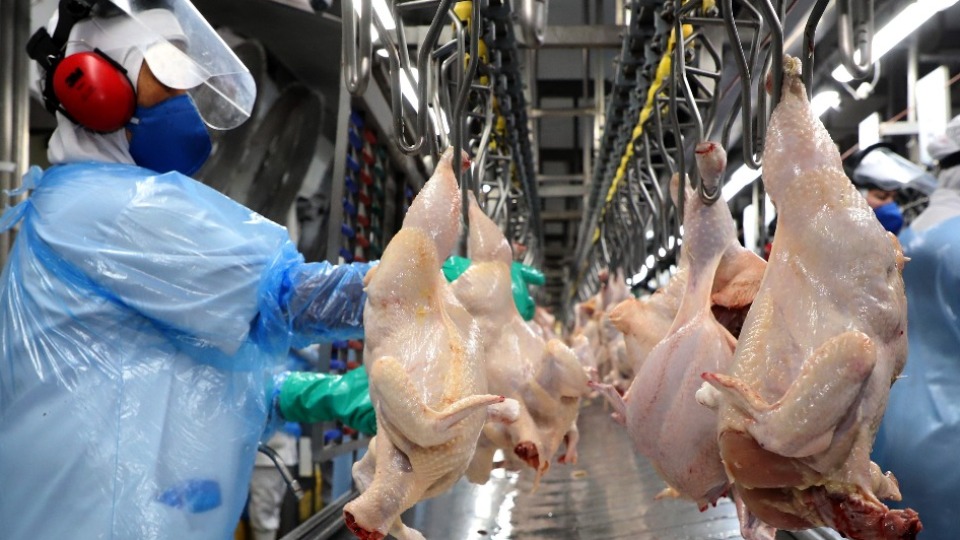 Imagem Últimas Notícias