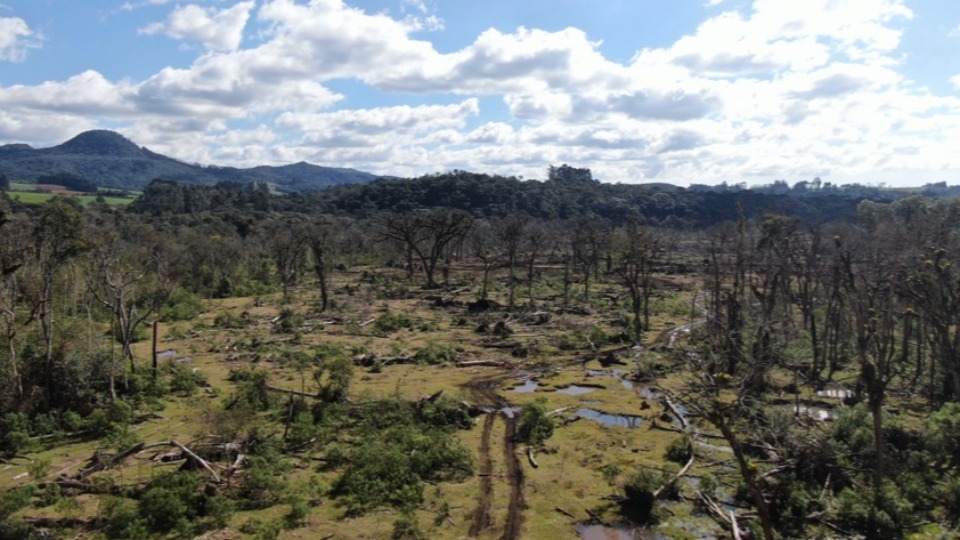 Imagem Últimas Notícias