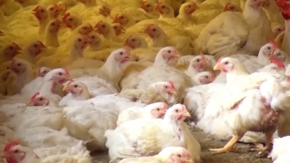 Imagem Últimas Notícias