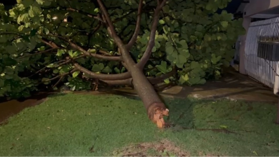 Imagem Últimas Notícias