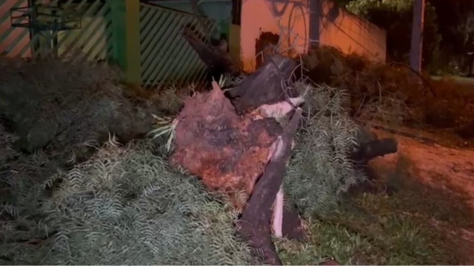 Imagem Últimas Notícias