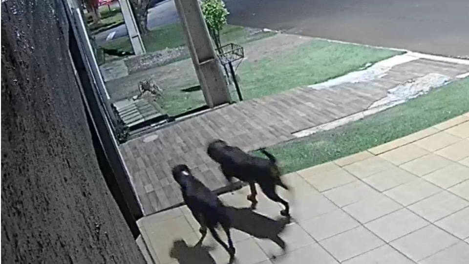 Imagem Últimas Notícias