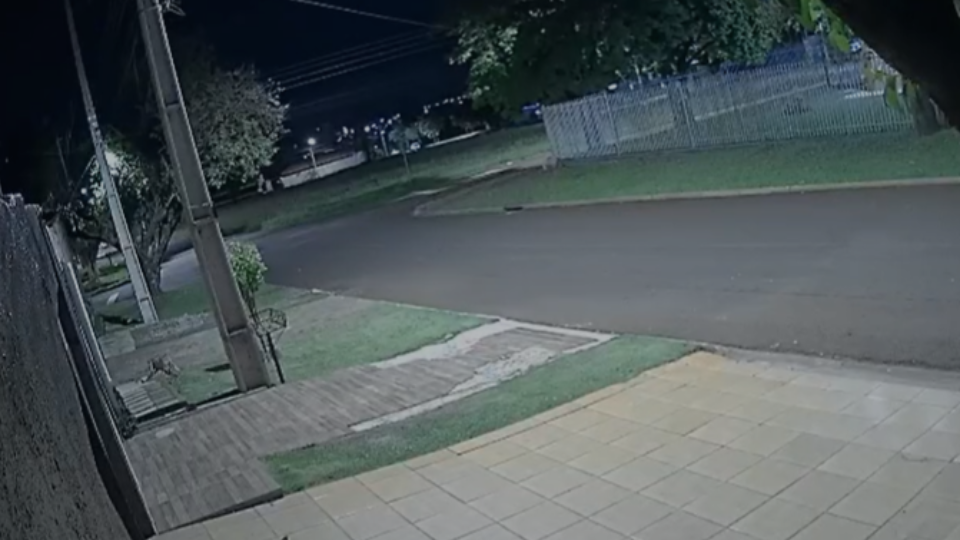 Notícia Relacionada