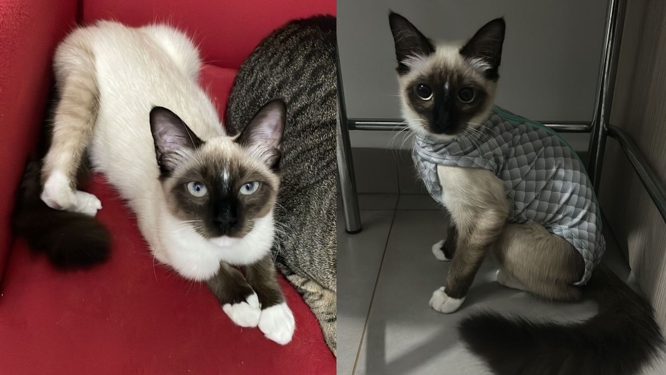 Imagem Últimas Notícias