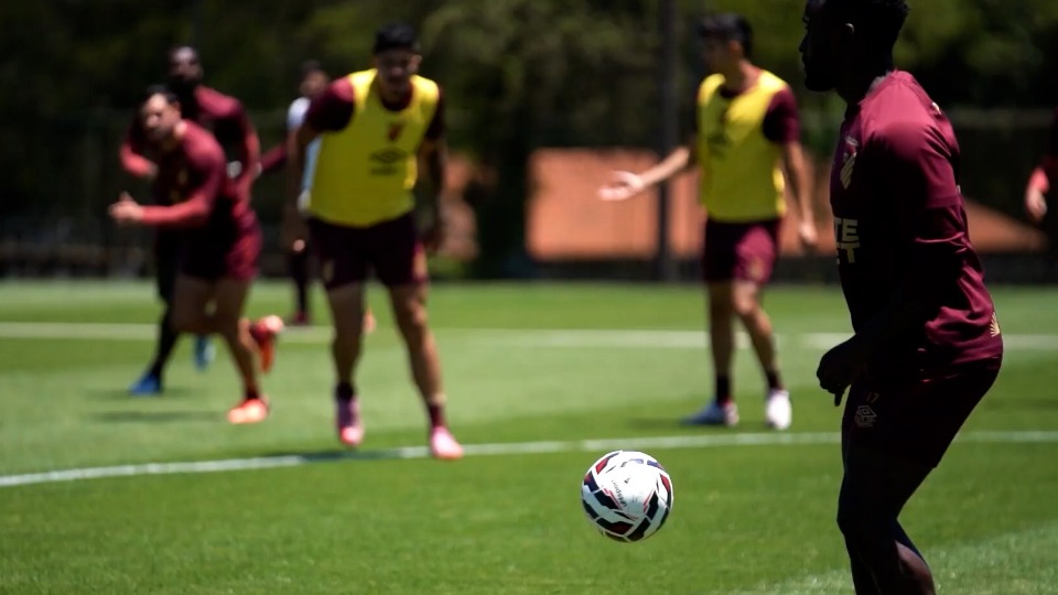 Notícia Relacionada