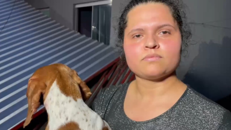 Notícia Relacionada