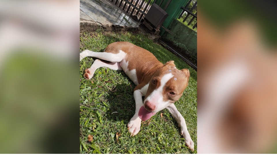 Imagem Últimas Notícias