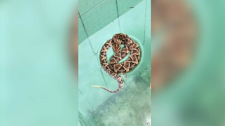 Imagem Últimas Notícias