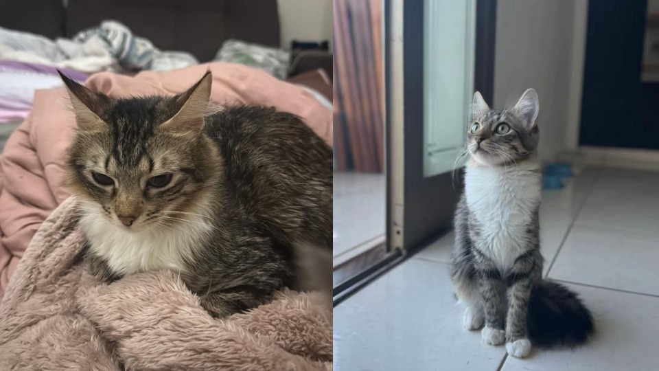 Imagem Últimas Notícias