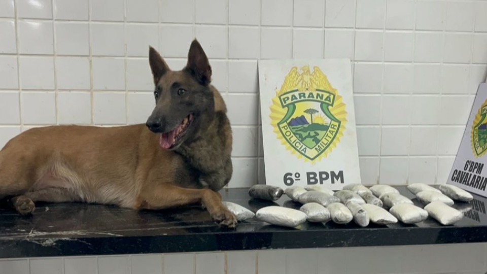 Imagem Últimas Notícias