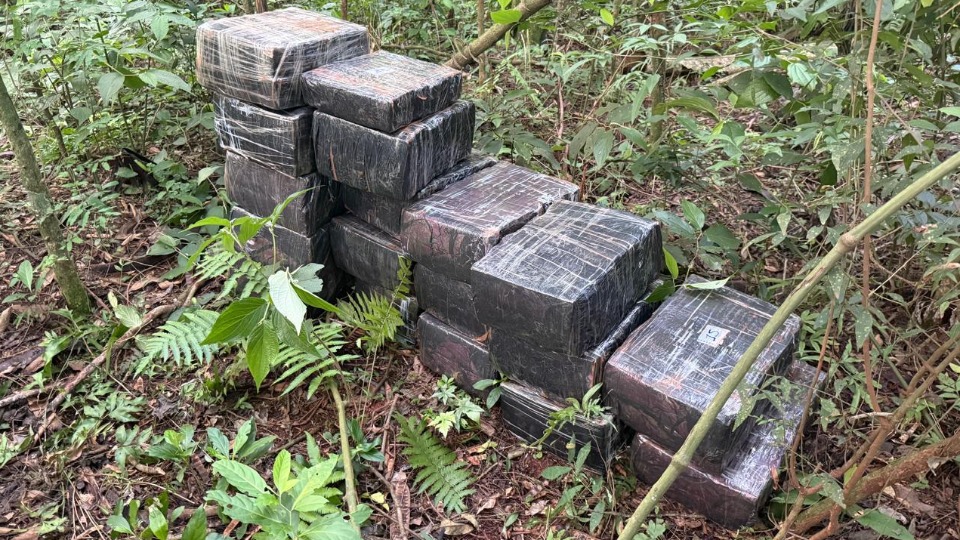 Imagem Últimas Notícias