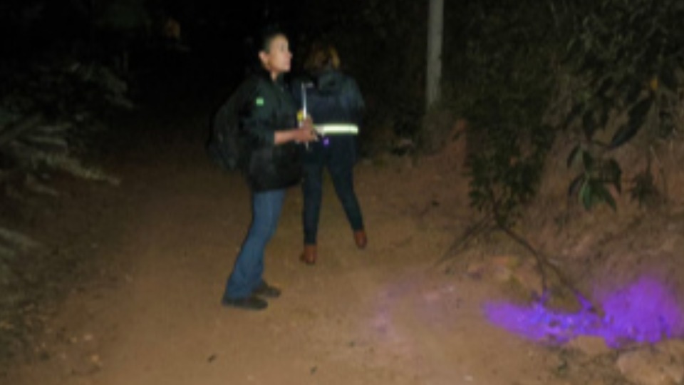 Imagem Últimas Notícias