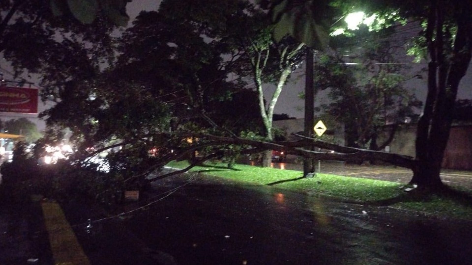 Imagem Últimas Notícias