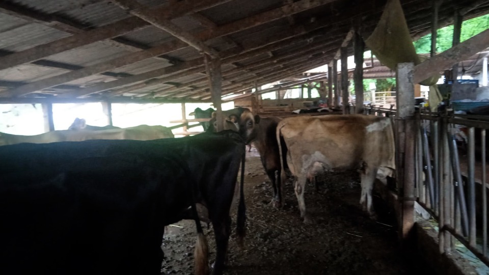 Imagem Últimas Notícias