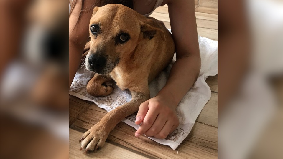 Imagem Últimas Notícias