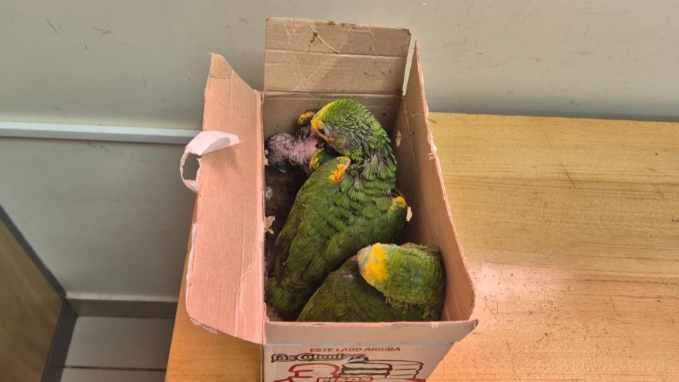 Imagem Últimas Notícias