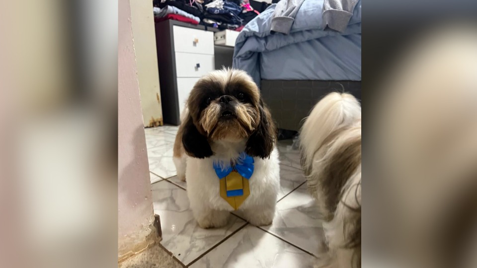 Imagem Últimas Notícias