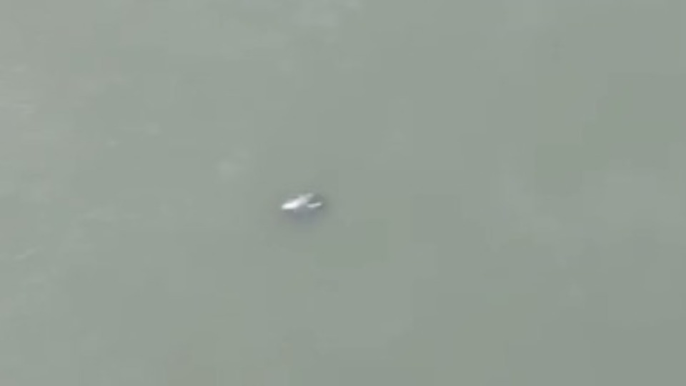 Imagem Últimas Notícias