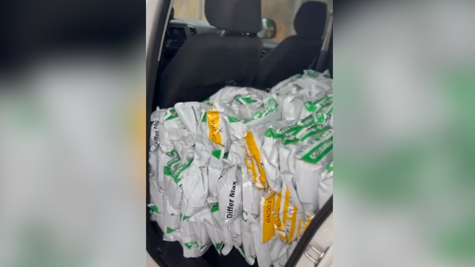 Imagem Últimas Notícias