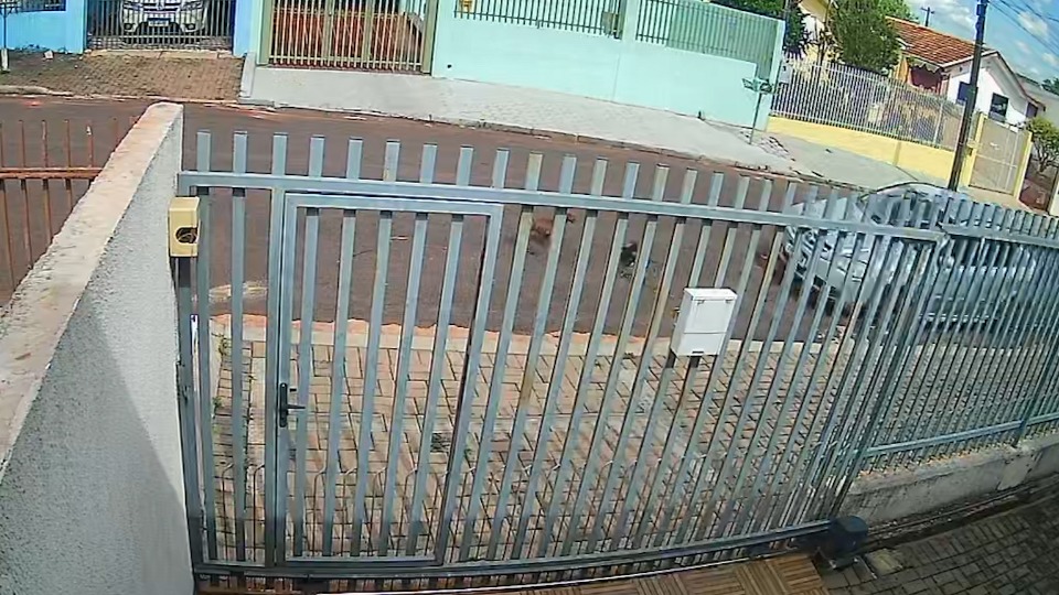 Imagem Últimas Notícias