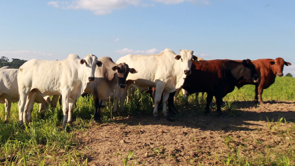 Imagem Últimas Notícias