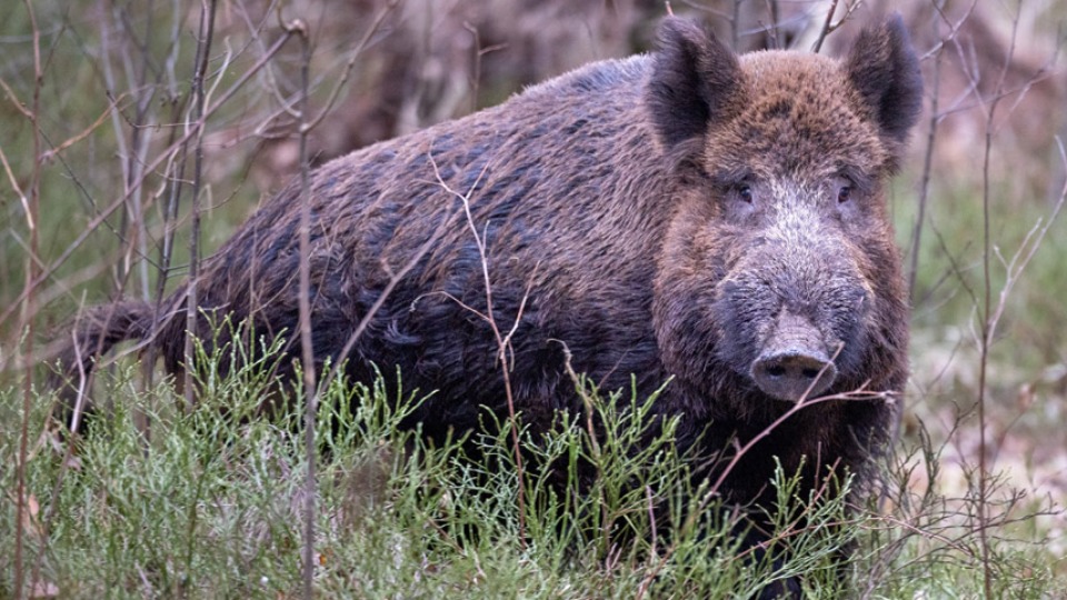 Imagem Últimas Notícias