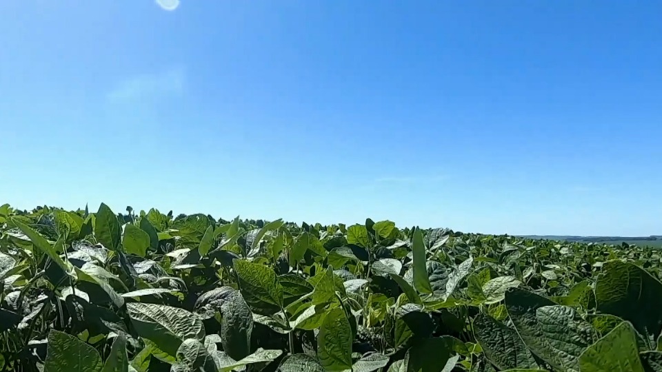 Imagem Últimas Notícias