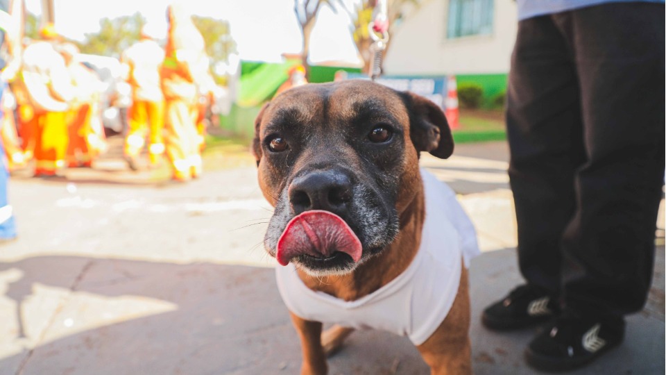 Imagem Últimas Notícias