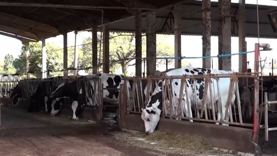 Imagem Últimas Notícias