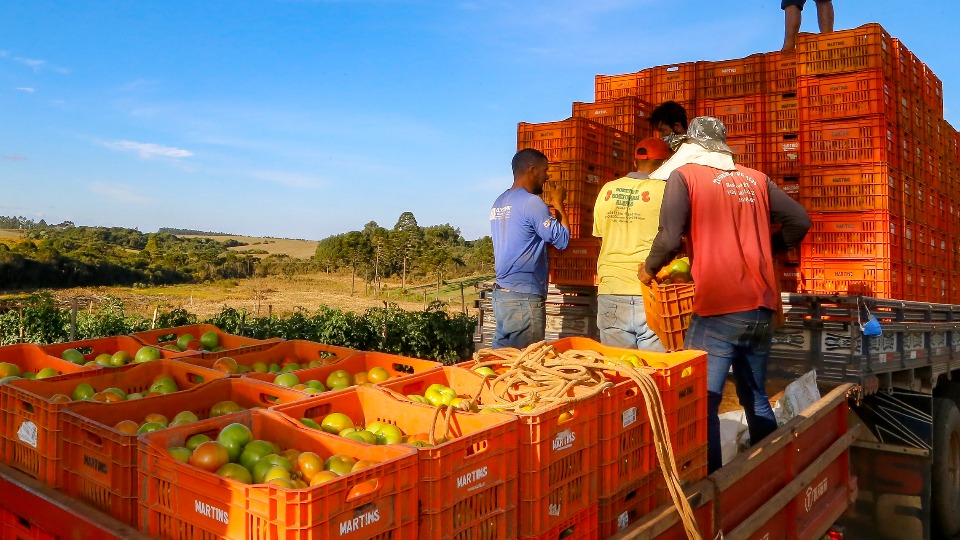 Imagem Últimas Notícias