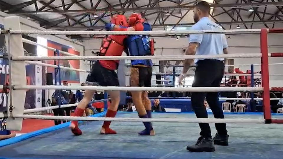 Notícia Relacionada