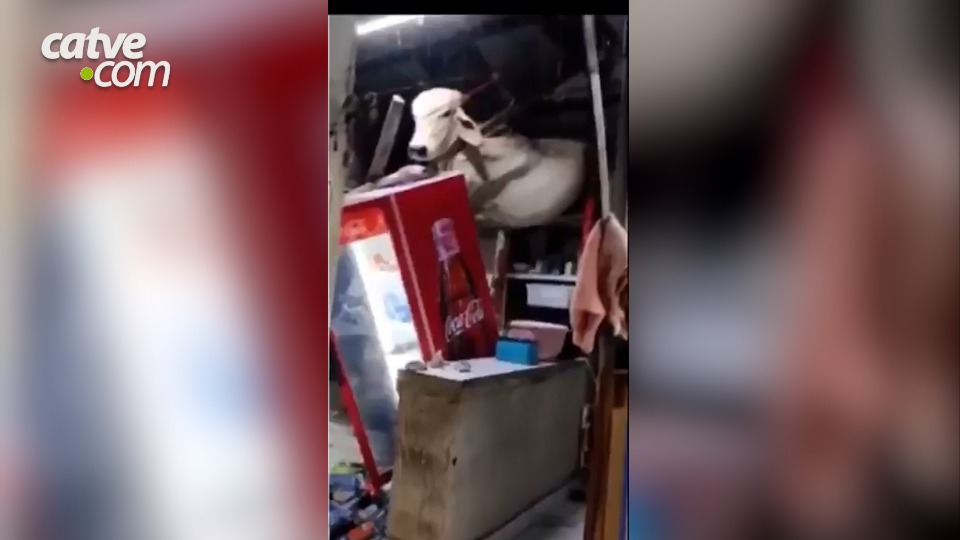 Imagem Últimas Notícias