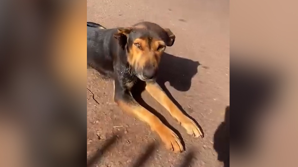 Imagem Últimas Notícias