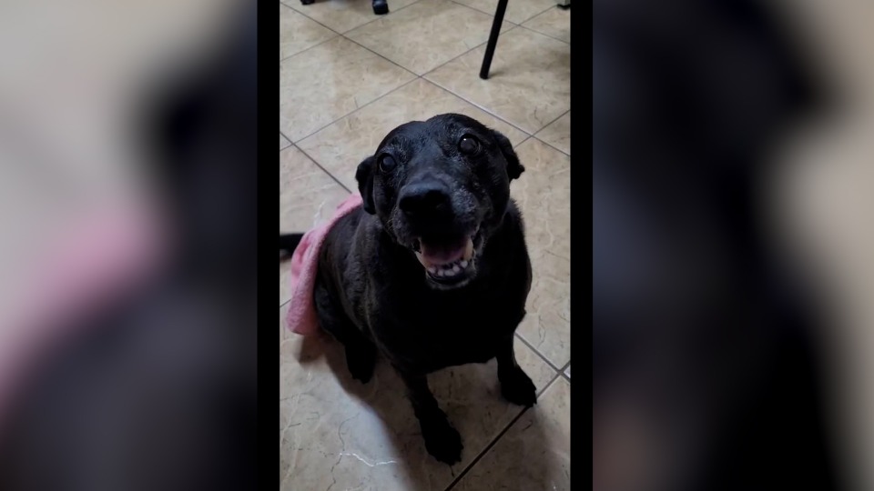 Imagem Últimas Notícias