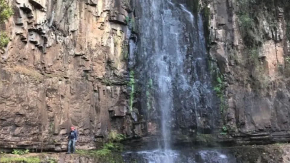 Imagem Últimas Notícias