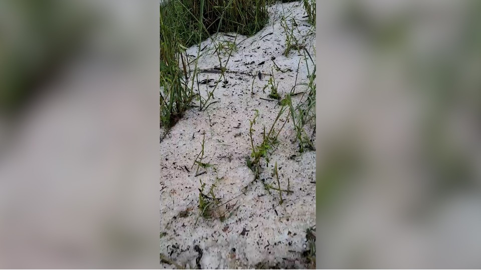 Imagem Últimas Notícias