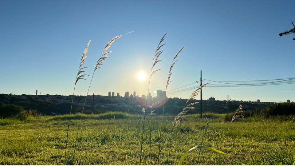 Imagem Últimas Notícias