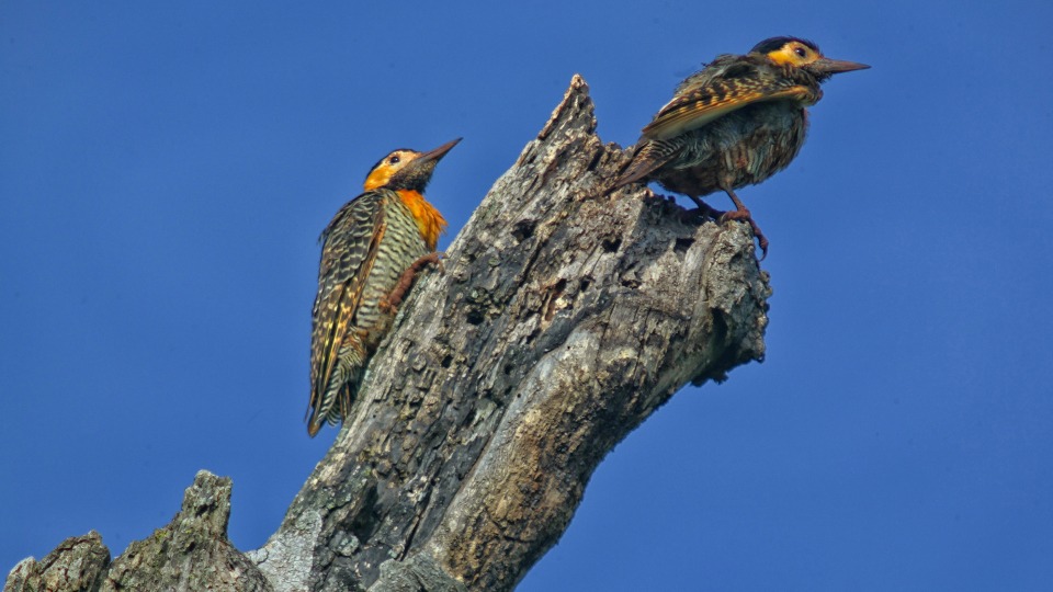 Imagem Últimas Notícias