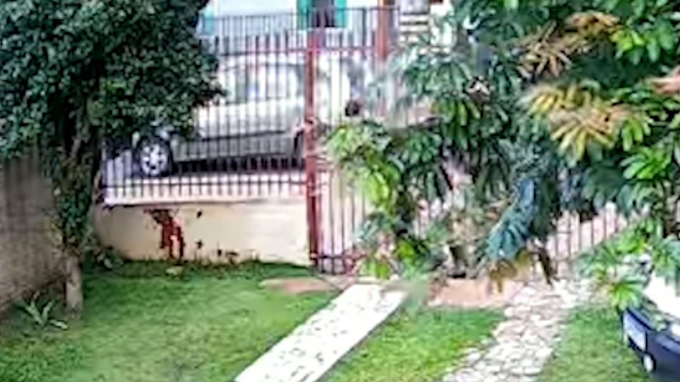 Imagem Últimas Notícias