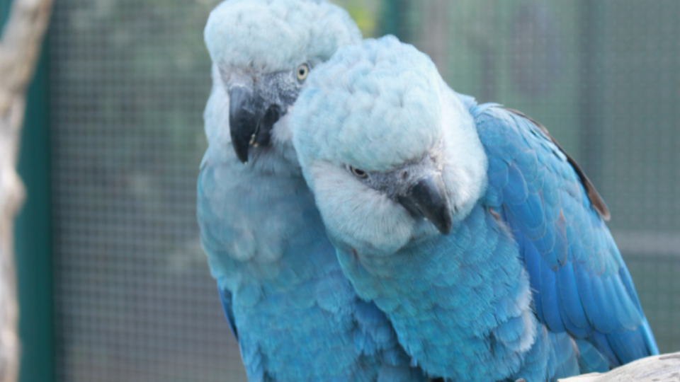 Imagem Últimas Notícias