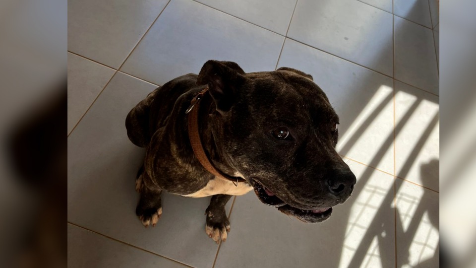 Imagem Últimas Notícias