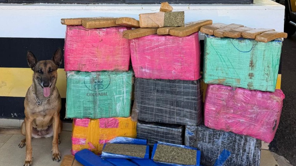 Imagem Últimas Notícias