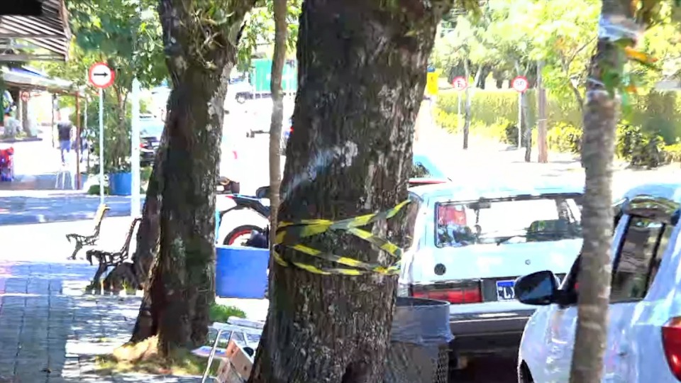 Imagem Últimas Notícias