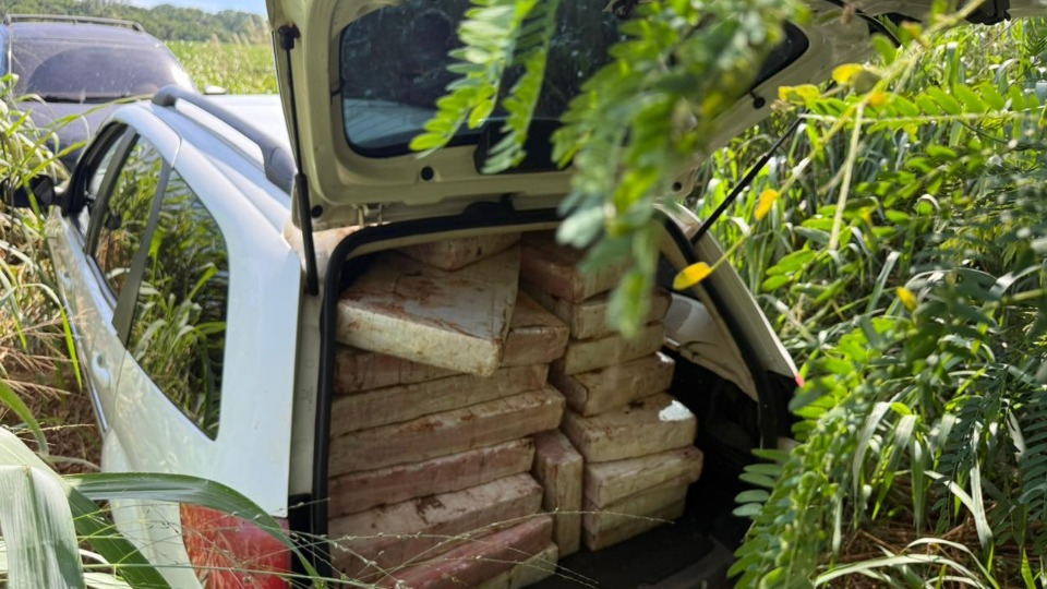 Imagem Últimas Notícias