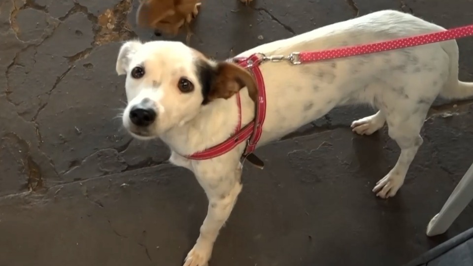 Imagem Últimas Notícias