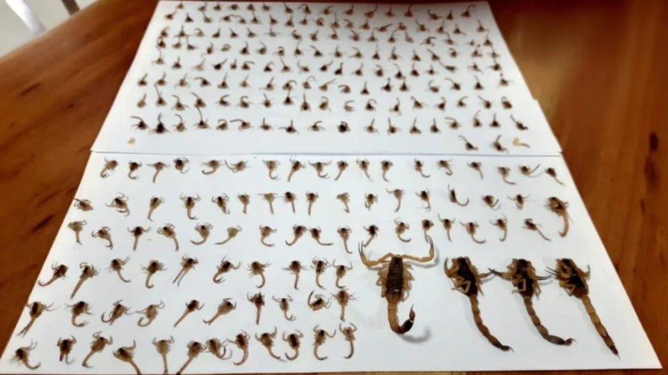 Imagem Últimas Notícias