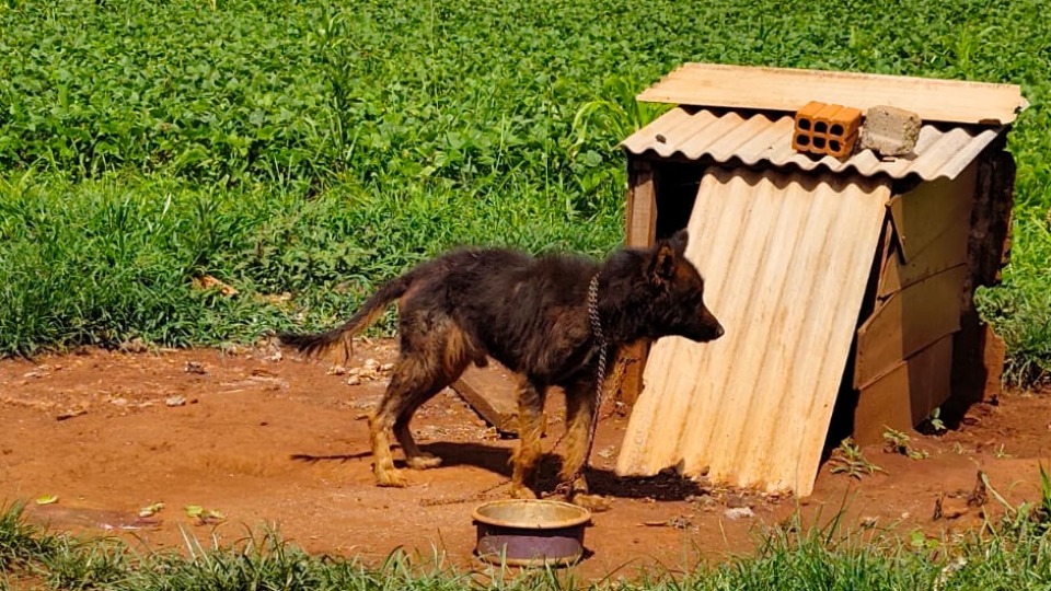 Imagem Últimas Notícias
