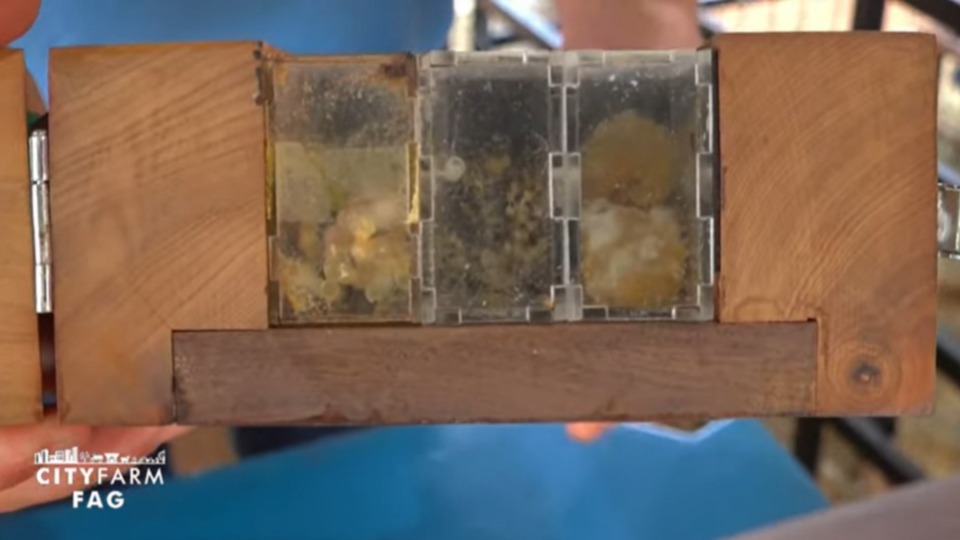 Imagem Últimas Notícias