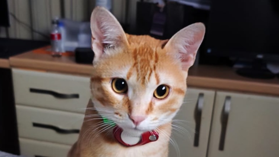 Imagem Últimas Notícias