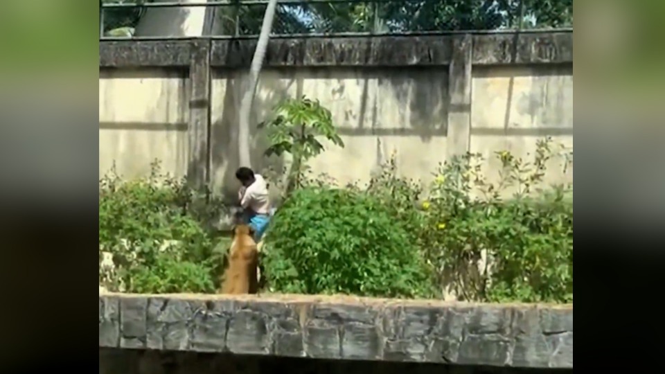 Imagem Últimas Notícias